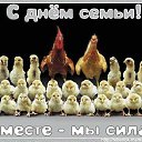 ���� ������, ����� - ��������� 8 ���� 2014 � ������ ���� ����������