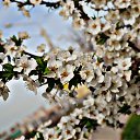 ���� ���, ������-��-���� - ��������� 20 ������ 2014 � ������ ������ ��������