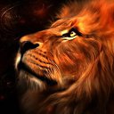 ���� ��������, �������, 66 ��� - ��������� 17 ����� 2014 � ������ ���� ����������