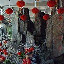 ���� Seal, ��������� - ��������� 30 ���� 2014 � ������ ���� ����������