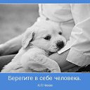 ���� ����������, ������, 52 ���� - ��������� 16 ������� 2014 � ������ ������ ��������