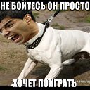 ���� ���������, �����, 39 ��� - ��������� 25 ���� 2014 � ������ ������ ��������