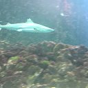 ���� �������, ����� - ��������� 8 ������� 2014 � ������ ������ ��������