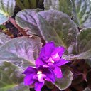  Nta-., - -  6  2014   ,   .