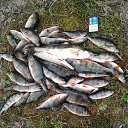 ���� ��������, ����, 51 ��� - ��������� 16 ������ 2014 � ������ ���� ����������