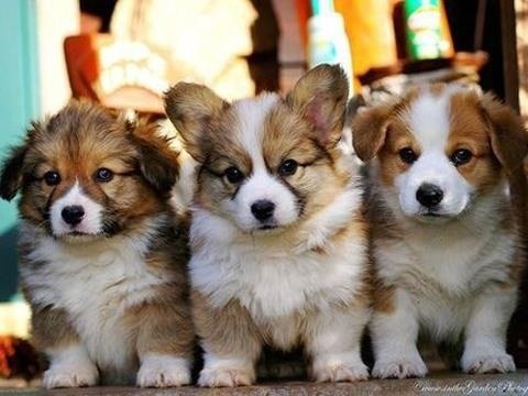 � ���� �������� - 25 ���� 2014 � 16:00