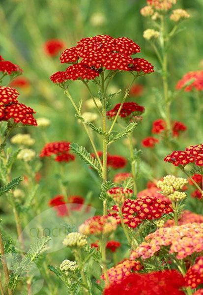 Не делай больно никому, Не заставляй людей страдать. Пошлет спасенье Бог тому, Кто сможет все душой ... - 6