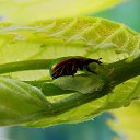 ���������) 29.05.2014 �� ������� ������� ��������)))�