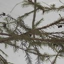 ���� ��������, ��������, 57 ��� - ��������� 24 ����� 2014 � ������ ������� ���2014�