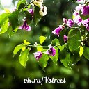 ���� �����, ������ ���, 57 ��� - ��������� 27 ������ 2014 � ������ �������
