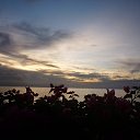 ���� ��������, ����������, 65 ��� - ��������� 31 ���� 2014 � ������ ������ ��������