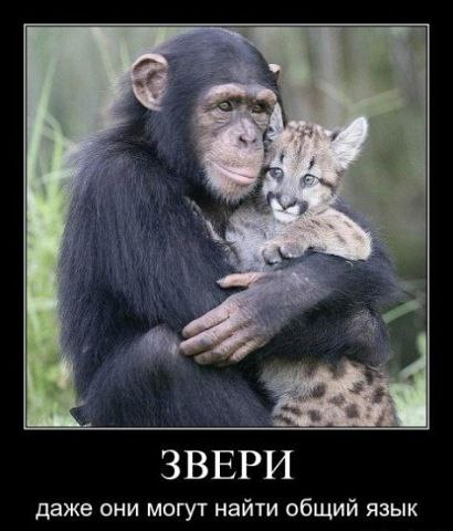 Ирина - 20 мая 2014 в 12:08