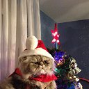 ���� �������, ��������� - ��������� 13 ��� 2014 � ������ �:)�