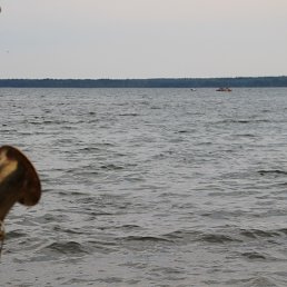 ������� 12.08.14