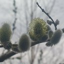 ���� �������, �����-��������, 53 ���� - ��������� 18 ���� 2014 � ������ ����� ������� � ����