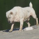 ���� ������, ������� - ��������� 23 ��� 2014 � ������ ������ ��������