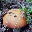 ���� �����, �����, 64 ���� - ��������� 6 ��� 2014 � ������ ������������ ������