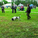 ���� ����, �����-��������� - ��������� 2 ���� 2014 � ������ ��������� ����� ���������� �����!!!�