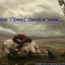 ���� ������, ������ ������� - ��������� 6 ������ 2014 � ������ ������ ��������