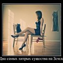 ���� �������, �������������, 46 ��� - ��������� 13 ������ 2014 � ������ ������ ��������