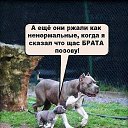 ���� �����, ��������, 57 ��� - ��������� 1 ������ 2014 � ������ ������ ��������