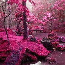 ���� ����, ����������� - ��������� 10 ���� 2014