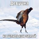 ���� ����, ������, 53 ���� - ��������� 8 ���� 2014 � ������ ������ ��������