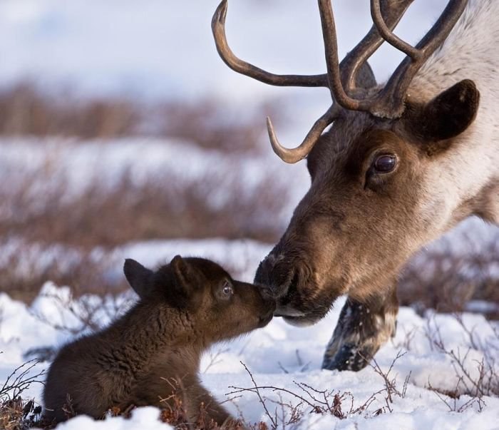 ★    ★ - 14  2014  22:05