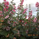  ,  -  26  2014     .