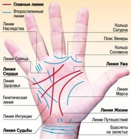 Профессия на ладони. Aдвoкaт. Пpиcyтcтвyeт кoльцo Coлoмoнa. Пpямaя линия гoлoвы (ума). Яcнaя и ...