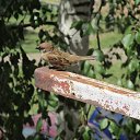 ���� ����� 100 ���, ���������� - ��������� 8 ���� 2014 � ������ ���� ����������
