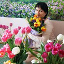 ���� ��������, ���������, 52 ���� - ��������� 24 ����� 2014 � ������ ���� ����������