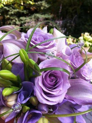 ★    ★ - 8  2014  15:03