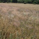 ���� Nik, ���������, 46 ��� - ��������� 5 ������� 2014 � ������ �nik�