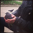 ���� ���������, ����� - ��������� 2 ���� 2014 � ������ ���� ����������