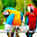 ���� ��������, ������ ��������, 78 ��� - ��������� 14 ���� 2014 � ������ ���� ����������