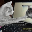 ���� ������, �������� - ��������� 3 ������ 2014 � ������ ������ ��������