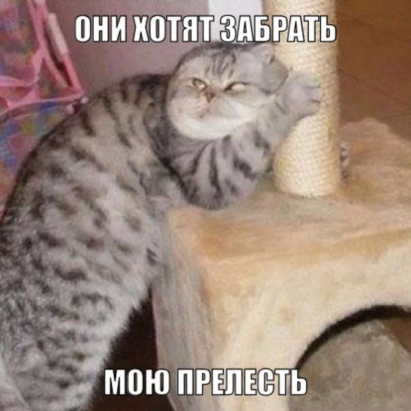 ������� ��������� - 6 ������� 2014 � 19:57