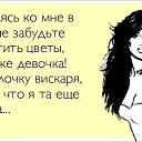  -, -, 53  -  12  2014    