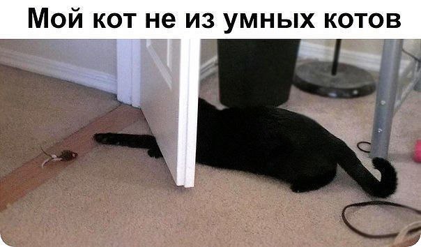 �������� - 11 ���� 2014 � 02:08