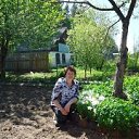 ���� ������, ������������, 66 ��� - ��������� 15 ���� 2014