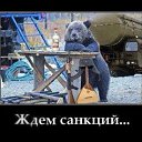 ���� ������, ��������, 60 ��� - ��������� 8 ��� 2014 � ������ ������ ��������