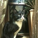 ���� �������, �����-��������� - ��������� 28 ������ 2014 � ������ ������� .�