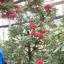 ���� ������, �����-���������, 64 ���� - ��������� 15 ������ 2014 � ������ ���������