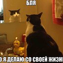���� �����, ������, 46 ��� - ��������� 28 ������ 2014 � ������ ������ ��������