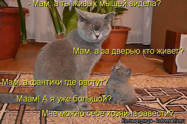 Marina - 13 ���� 2014 � 07:24