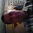 ���� Andris, ������, 48 ��� - ��������� 12 ���� 2014