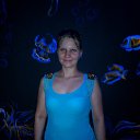 ���� �����, ������� �����, 36 ��� - ��������� 16 ������� 2014 � ������ ������ ��������