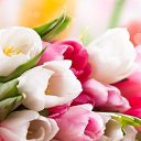 ���� ������, ������, 39 ��� - ��������� 19 ����� 2014 � ������ ������ ��������