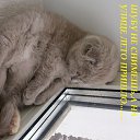 ���� �������� �� �������...., ���, 53 ���� - ��������� 20 ��� 2014 � ������ ������ ��������